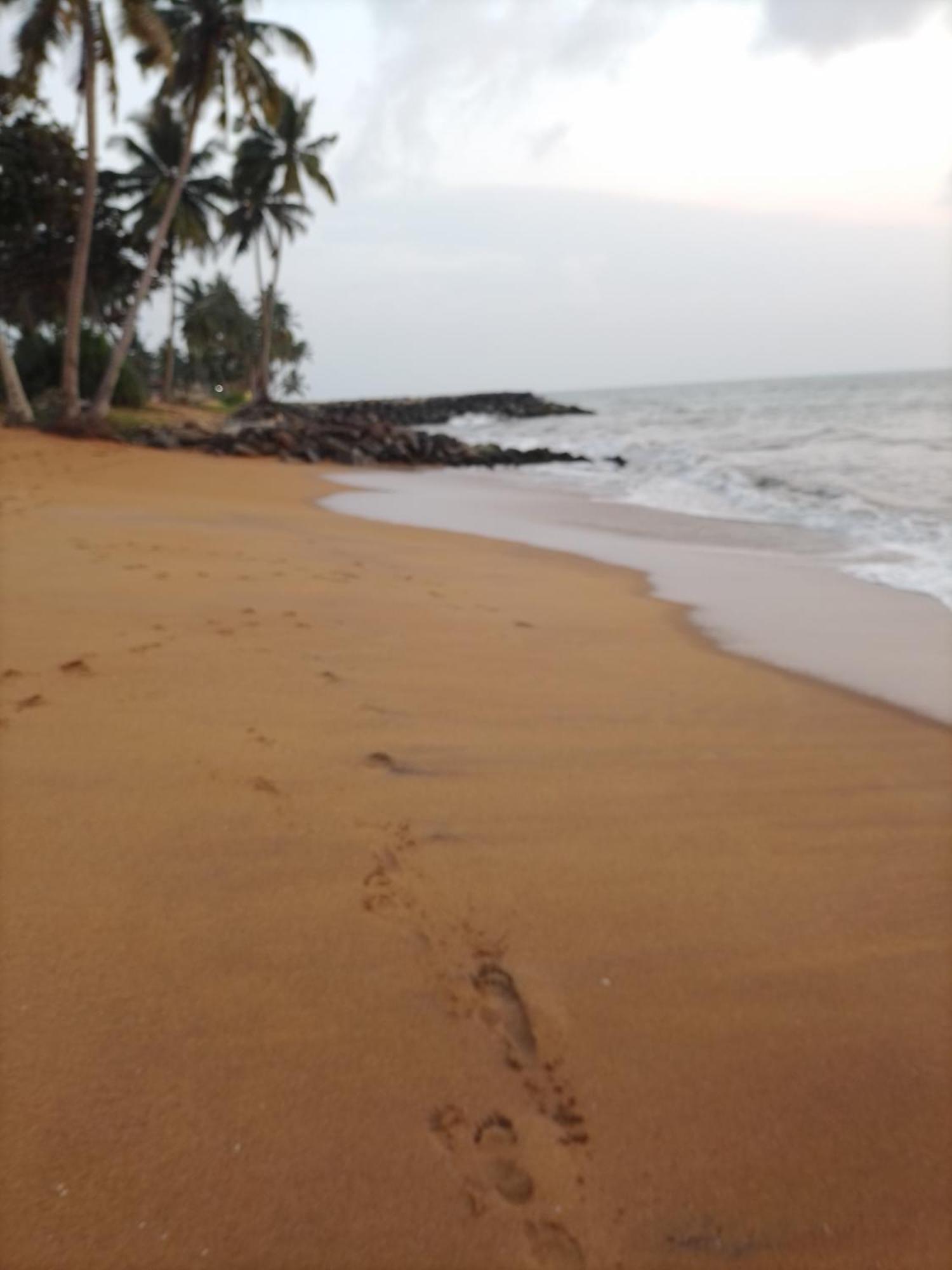 Our Little Secret Hotel Kalutara Eksteriør billede